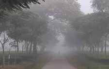 সর্বনিম্ন তাপমাত্রা শ্রীমঙ্গলে