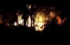 আনন্দ মিছিলে হামলা, বাড়িতে অগ্নিসংযোগ, গুলিবর্ষণ