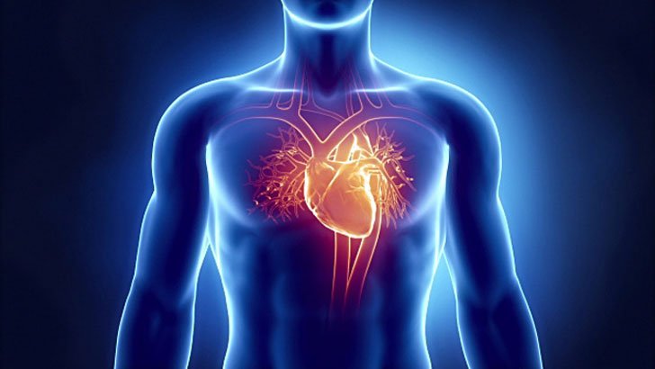 করোনাভাইরাসের চেয়ে ২২ গুণ বেশি মৃত্যু হয়েছে হার্ট অ্যাটাকে