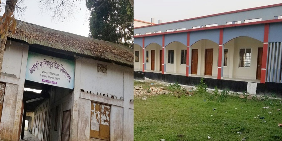 অবৈধভাবে বিদ্যালয়ের গাছ কর্তনের অভিযোগ