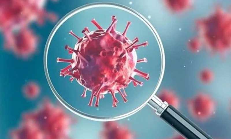 করোনা শনাক্ত হাজার ছাড়াল