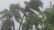 সিলেটসহ বিভিন্ন অঞ্চলে আজ কালবৈশাখী ঝড় হতে পারে