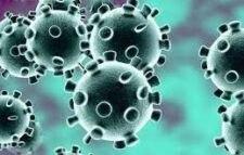 দক্ষিণ আফ্রিকায় করোনায় এক বছরে সর্বনিম্ন মৃত্যু