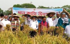 কৃষকদের সঙ্গে নিয়ে হাওরে ধান কাটা উদ্বোধন করলেন ডিসি