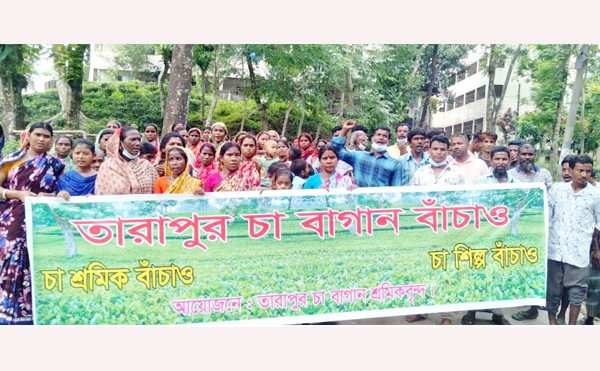 তারপুর চা বাগানে বিক্ষোভ অব্যাহত, ৯ দফা দাবি শ্রমিকদের