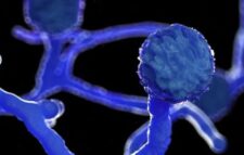 ভারতে ব্ল্যাক ফাঙ্গাস ও হোয়াইট ফাঙ্গাস নতুন আতঙ্ক!