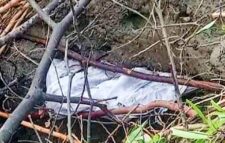 প্রায় অর্ধশত বছর আগে দাফন করা লাশ এখনো অক্ষত