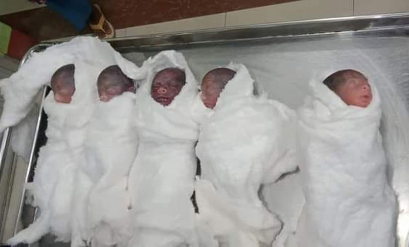 একসঙ্গে ৫ সন্তানের জন্ম নিয়ে বাঁচল না একজনও