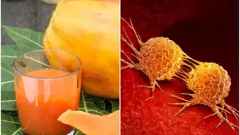 ক্যানসারের যম পেঁপের জুস! আরও কত উপকার করে জানুন