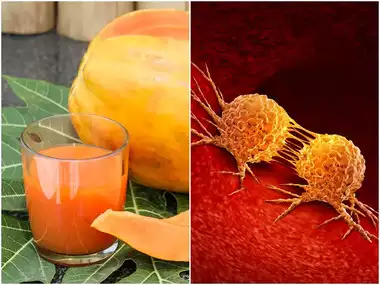 ক্যানসারের যম পেঁপের জুস! আরও কত উপকার করে জানুন