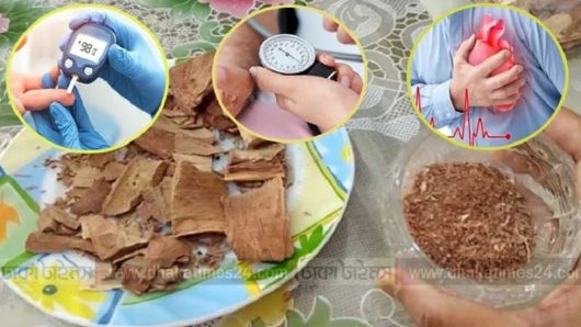 ডায়াবেটিস ও রক্তচাপ নিয়ন্ত্রণে রাখে অর্জুনের ছাল! হার্টও থাকে সুস্থ-সবল