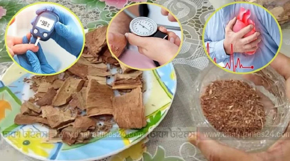 ডায়াবেটিস ও রক্তচাপ নিয়ন্ত্রণে রাখে অর্জুনের ছাল! হার্টও থাকে সুস্থ-সবল