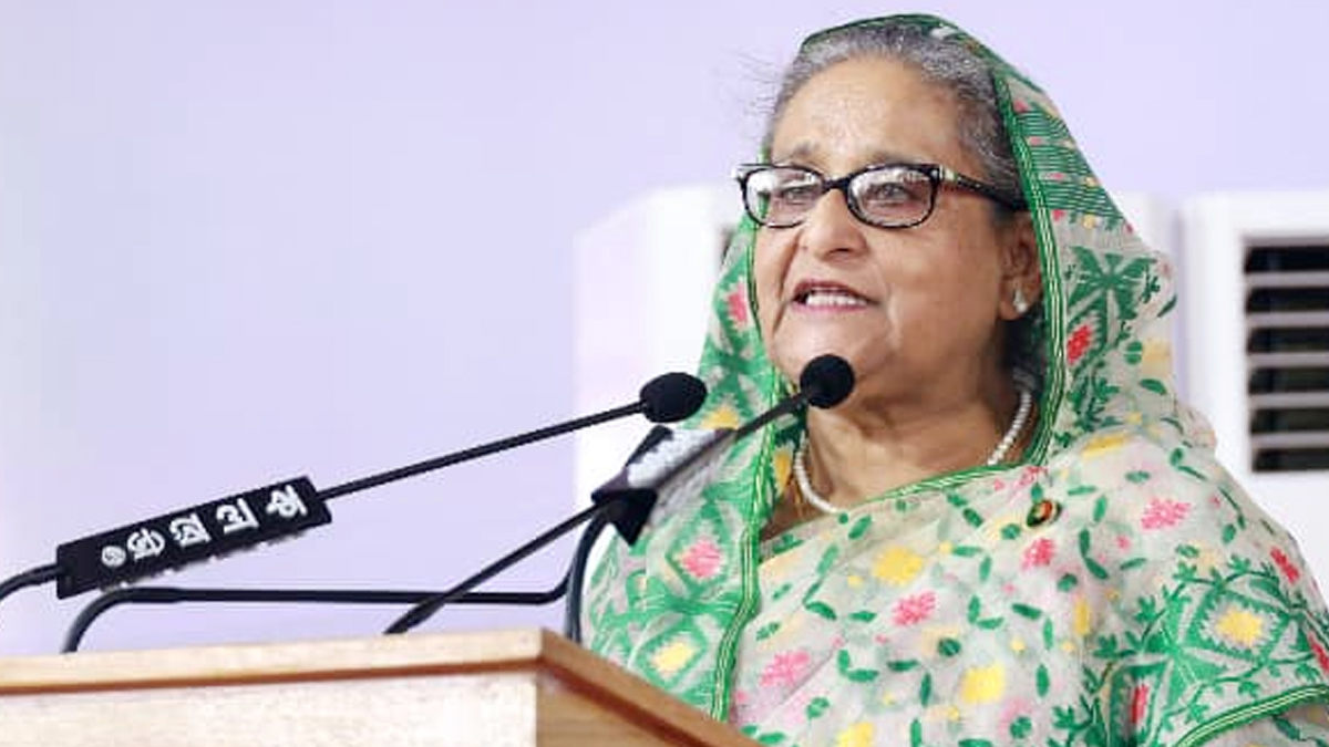 মশা মেরে শেষ করা যাবে না, সবাইকে সচেতন হতে হবে : প্রধানমন্ত্রী