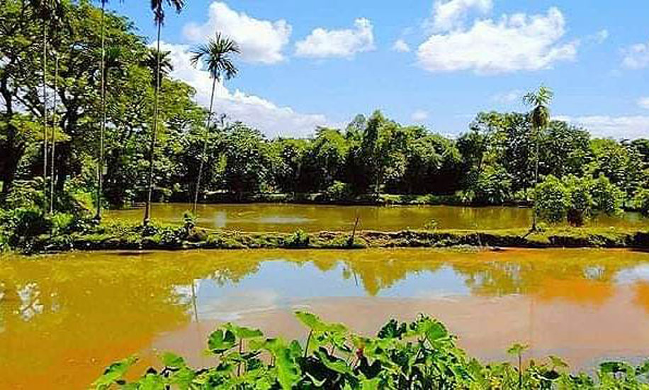 মাছ চাষে স্বপ্ন বুনছেন বেকার যুবকরা