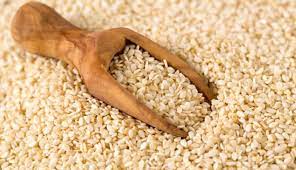 খারাপ কোলেস্টেরলের যম তিল বীজ, উচ্চ রক্তচাপও থাকে নিয়ন্ত্রণে