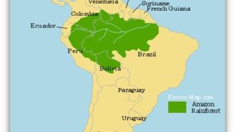 আমাজনে বিমান বিধ্বস্ত হয়ে সব আরোহী নিহত