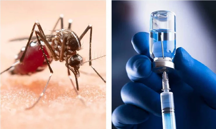 দেশে প্রথমবারের মতো ডেঙ্গু টিকার সফল পরীক্ষা