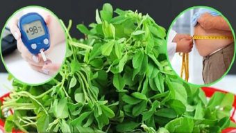 ডায়াবেটিসের মহৌষধি​ মেথি শাক! কমবে ওজন, হাড়ও হবে শক্ত