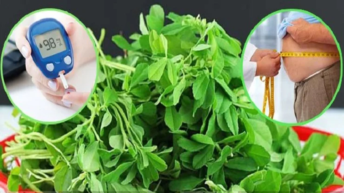 ডায়াবেটিসের মহৌষধি​ মেথি শাক! কমবে ওজন, হাড়ও হবে শক্ত