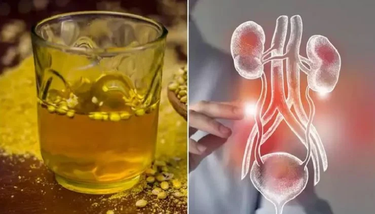 কিডনির বিষাক্ত পদার্থ দূর করে যে পানীয়, কমায় বাতের ব্যথা​ও