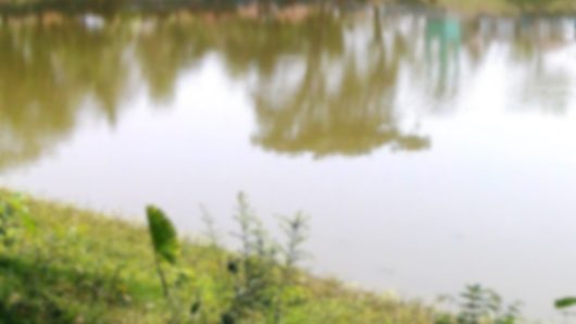 মসজিদের পুকুরে ভাসছিলো তাওসিফ-নুরার নিথর দেহ