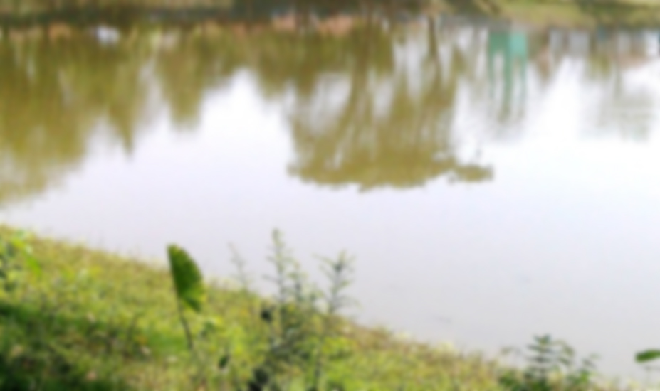 মসজিদের পুকুরে ভাসছিলো তাওসিফ-নুরার নিথর দেহ