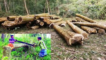 পরিবেশমন্ত্রীর এলাকায় বন কেটে পার্ক!