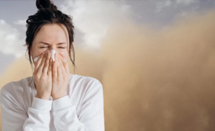 ডাস্ট অ্যালার্জি থেকে বাঁচতে যা করণীয়