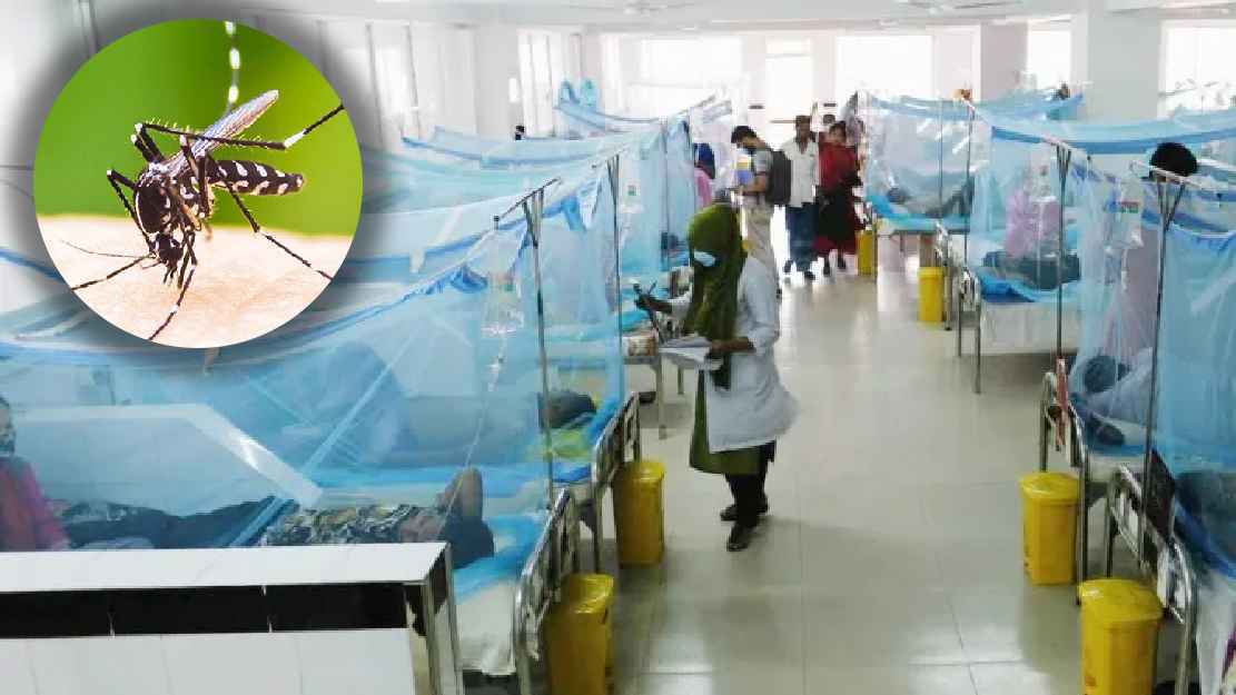 ডেঙ্গুতে আরও ৯ প্রাণহানি, হাসপাতালে ৪৫৯