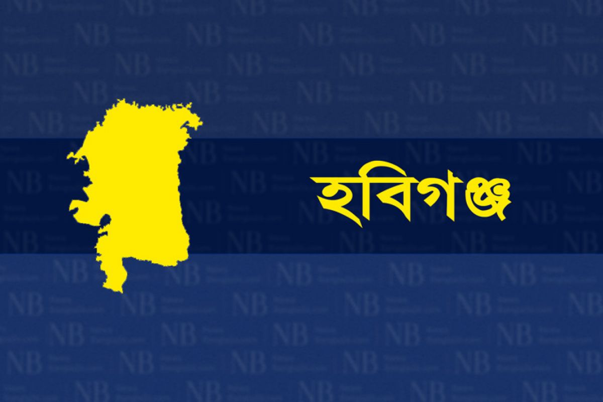 হবিগঞ্জে নির্বাচনী মাঠে লড়ছেন ৩১, আ. লীগসহ ৫ জনের প্রার্থিতা প্রত্যাহার