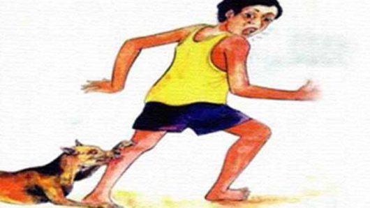 চব্বিশজনকে কামড়ালো বেওয়ারিশ কুকুর