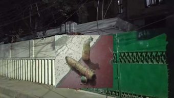 মৎস উপদেষ্টার মা‌লিকানা‌ধিন প্রতিষ্ঠানের সামন থেকে বোমা উদ্ধার