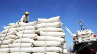ভিয়েতনাম থেকে এলো আরও ২০ হাজার মেট্রিক টন চাল