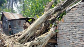 কালবৈশাখী ঝড়ে রংপুরে ব্যাপক ক্ষতি