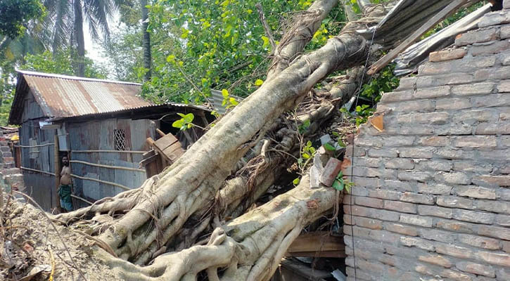 কালবৈশাখী ঝড়ে রংপুরে ব্যাপক ক্ষতি