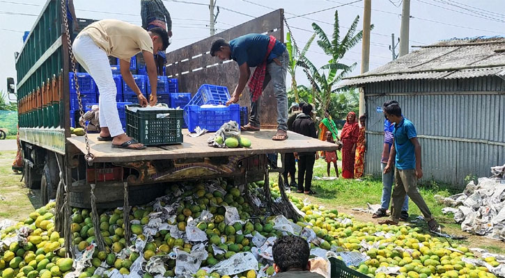 সাতক্ষীরায় বাজারজাতের চেষ্টাকালে এক ট্রাক আম ধ্বংস