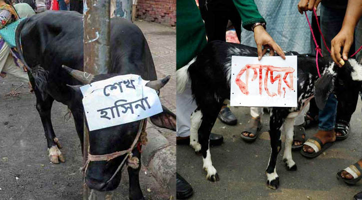 শাহবাগে আওয়ামী লীগ নেতাদের নামে পশু জবাই!