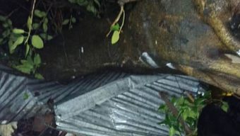 ঝড়ে ভেঙে পড়া গাছের নিচে পড়ে নারীর মৃত্যু