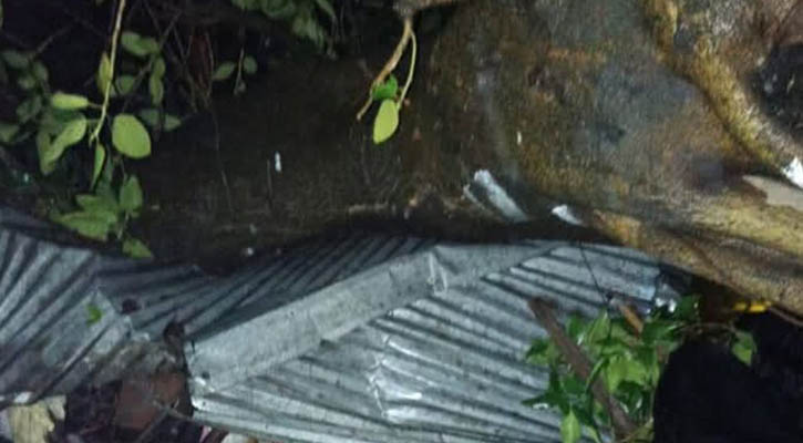 ঝড়ে ভেঙে পড়া গাছের নিচে পড়ে নারীর মৃত্যু