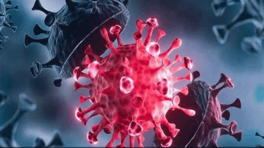 নতুন রূপে ফিরছে করোনা ভাইরাস