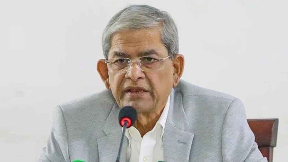 অন্তর্বর্তী সরকার আমাদের পথ দেখাচ্ছে: মির্জা ফখরুল