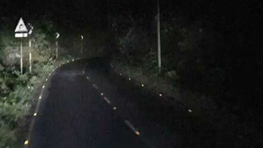 কমলগঞ্জ-শ্রীমঙ্গল সড়কে গাছ ফেলে দুর্ধর্ষ ডাকাতি