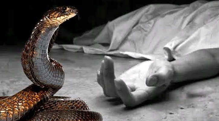 সাপের কামড়ে ঘুমন্ত কিশোরের মৃত্যু