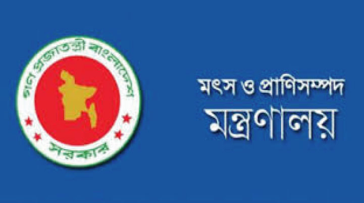 ব্রাজিল থেকে ১২০ টাকায় গরুর মাংস, তথ্য ভিত্তিহীন