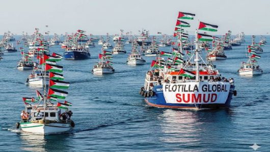 গাজা অভিমুখী ত্রাণবাহী জাহাজবহরে ইসরায়েলের হামলা