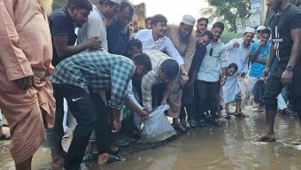 খানাখন্দে ভরা সড়কের গর্তে মাছের পোনা ছেড়ে অভিনব প্রতিবাদ হাসনাত আব্দুল্লাহর