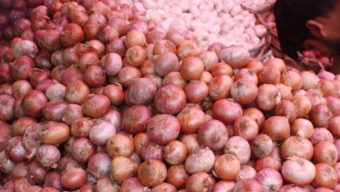 পেঁয়াজের দাম নিয়ন্ত্রণে আনতে আমদানির পথে হাঁটছে সরকার