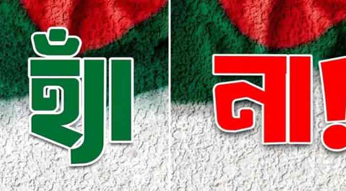 হ্যাঁ, না ভোটে কি হবে!